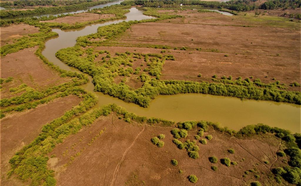 Solidarity Grows as Citizens Rally Behind Loutolim Villagers in Defense of Khazan Lands