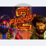 Pushpa 2: The Rule Releases on OTT