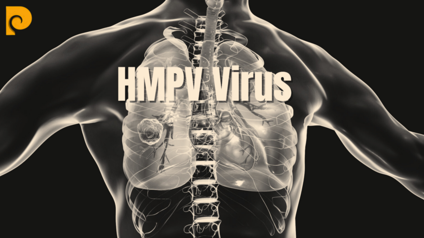 Here are the tags related to *"What is HMPV Virus: Understanding the Respiratory Threat"*, separated by commas: HMPV, Human Metapneumovirus, Respiratory infections, Winter viruses, Respiratory health, Flu season, Cold and flu, Viral infections, Contagious diseases, Virus transmission, Public health, Respiratory illness, Pneumonia, Bronchiolitis, Fever, Nasal congestion, Sore throat, Cough, Shortness of breath, Pediatric health, Elderly health, Immunocompromised individuals, Virus complications, Viral pneumonia, Viral treatments, Supportive care, Virus prevention, Hygiene practices, Hand washing, Cough etiquette, Face masks, Social distancing, Surface disinfecting, Preventive healthcare, Virus transmission control, Disease prevention, Virus diagnosis, PCR test, Respiratory swab, Chest X-ray, Viral culture, Laboratory testing, Supportive care, Oxygen therapy, Pain relievers, Hydration, Hospital care, Respiratory support, Viral treatments, At-risk populations, Children and infants, Elderly individuals, Immunocompromised patients, Vulnerable groups, Virus discovery, Respiratory virus research, HMPV research, Medical research, Vaccine development, Respiratory virus studies, Virus pathogenesis, Global health research, WHO, World Health Organization, Health authorities, Disease monitoring, Health guidelines, Public health response, Health ministry, India, U.S., Europe, Global spread, Seasonal outbreaks, Airborne transmission, Droplet transmission, Respiratory droplets, Contaminated surfaces, Person-to-person transmission, Viral spread, Public health education, Community health, Awareness campaigns, Health warnings, Health precautions, Health advice.