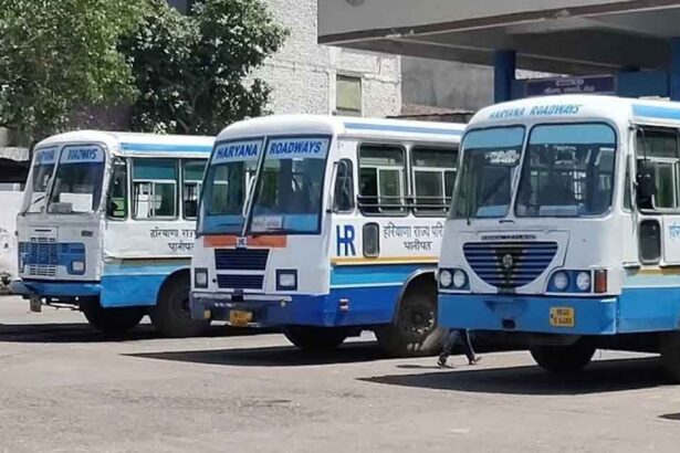 Bus Services to Remain Suspended on Dhulandi