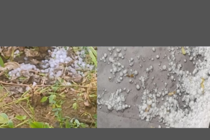 Hailstorm Causes Devastation in Rewari