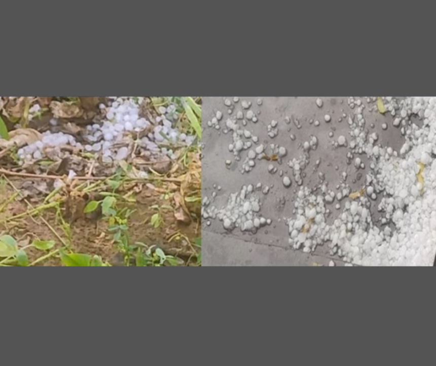 Hailstorm Causes Devastation in Rewari